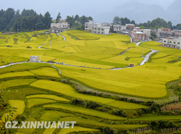 Golden terrace of Guiyang