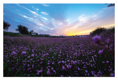 Changsha county illuminated under the glow of sunset