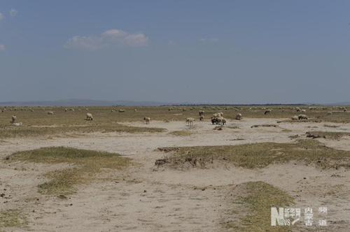 Inner Mongolia suffers from severe drought