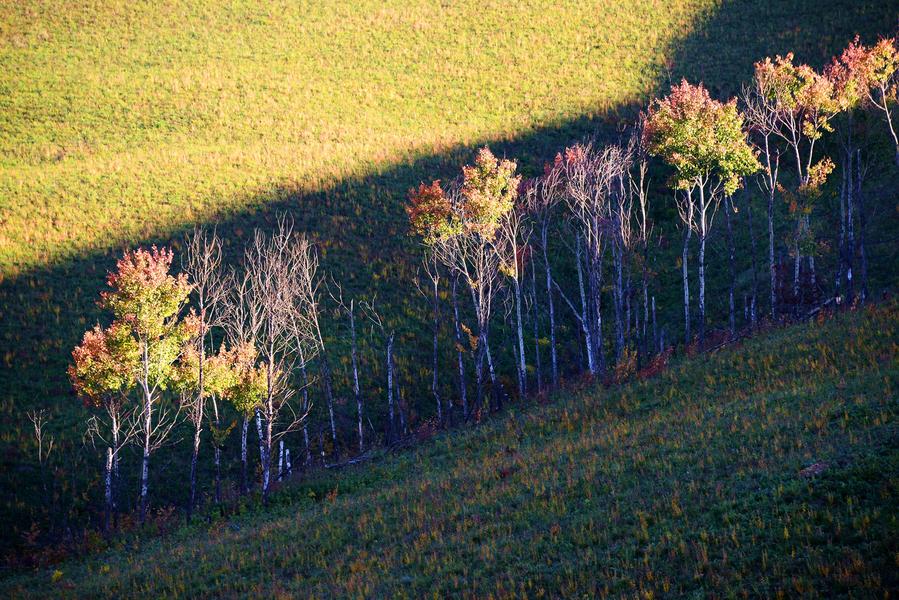 Autumn scenery of Ergun in Inner Mongolia