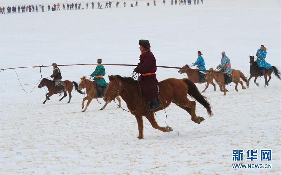 Horses gallop through snow-covered land