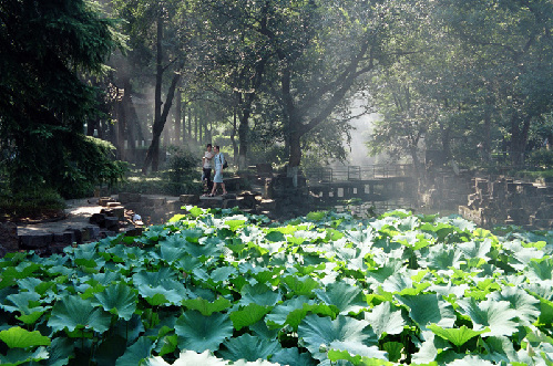 Tinglin Garden Qiong Flower Arts Festival