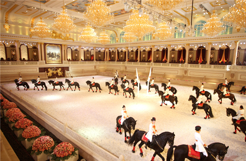 Oculus Int'l Equine Summit held in Jiangyin