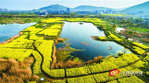 Vibrant Changguangxi Wetland Park