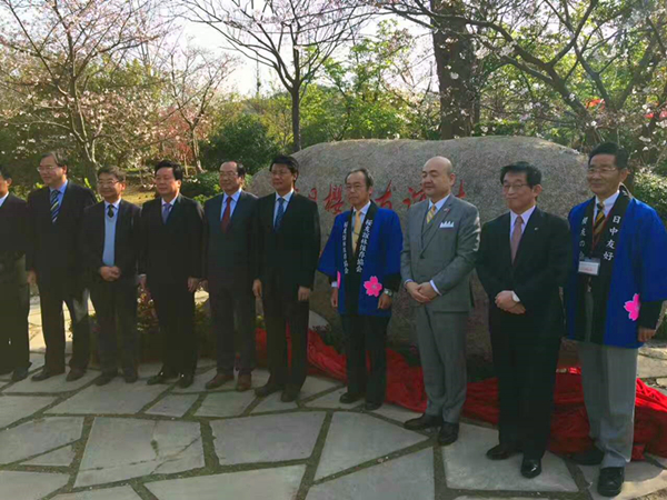 Sino-Japanese cherry plantation of friendship blossoms