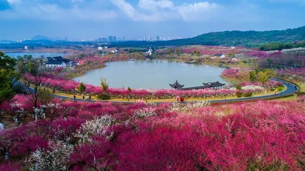 Zhangjiagang to host marathon in March