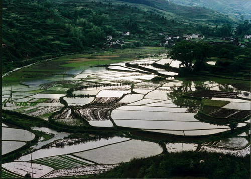 Wuyuan