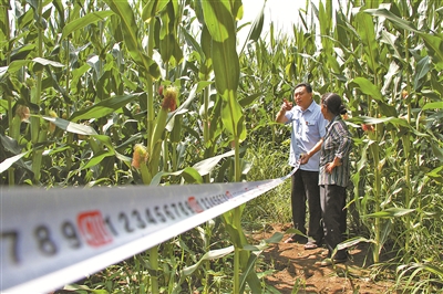 Jilin lawyers settle disputes for farmers