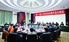 2011 Liaoning Annual Sessions