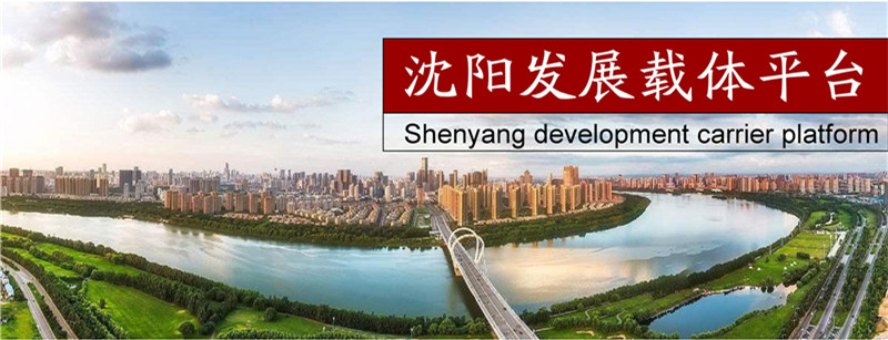 Shenyang development carrier platform