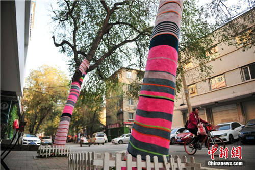 Shenyang trees get a makeover