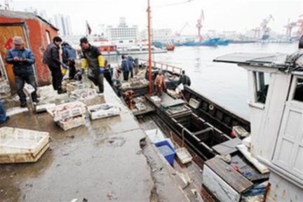 Fresh seafood hits Qingdao market as summer fishing ban ends