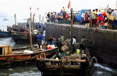 Fresh seafood hits Qingdao market as summer fishing ban ends