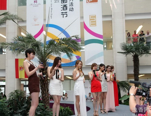 Wine expo kicks off in Xi'an