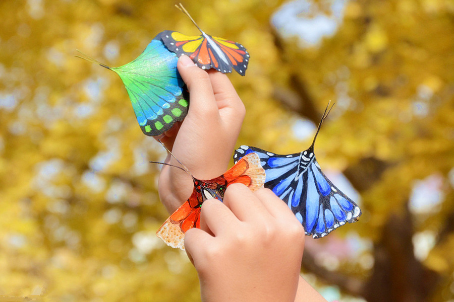 Butterflies on autumn leaves