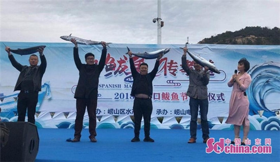 2018 Shazikou Mackerel Festival kicks off