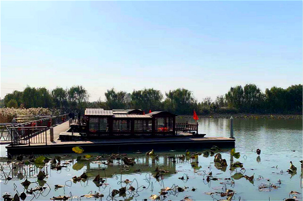 Zibo lakeside city promotes laidback atmosphere