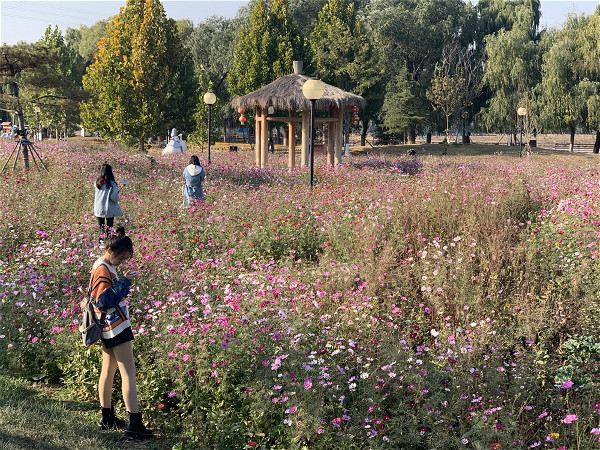 Zibo lakeside city promotes laidback atmosphere