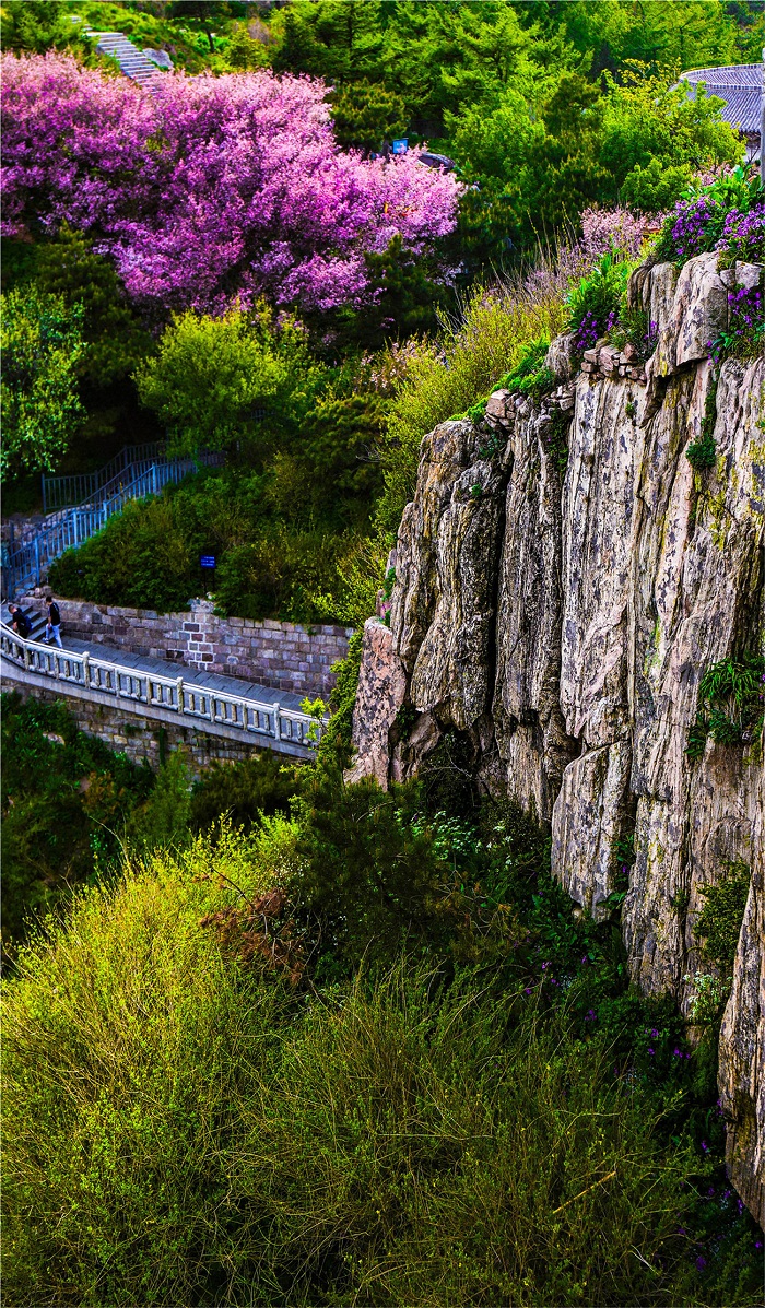 Time to enjoy the scenery of Mount Tai