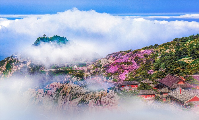 Time to enjoy the scenery of Mount Tai