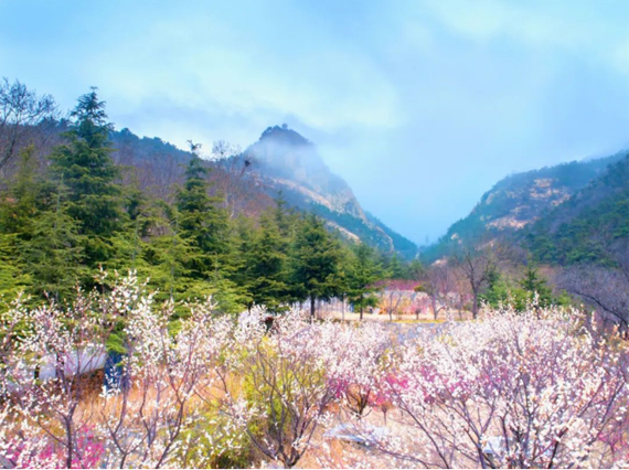 Enjoy Sanyuesan celebrations at Tianmeng Mountain scenic spot