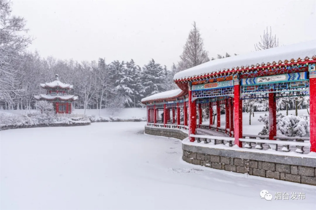 Heavy snow blankets Yantai