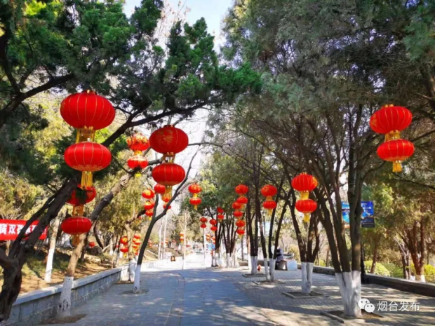 In pics: Chinese New Year celebrations in Yantai