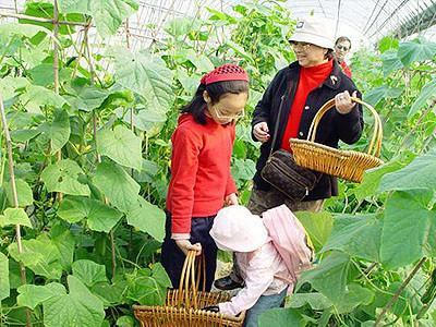 Huating Modern Agriculture Park Tour