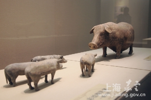 Han historic relics exhibited in Jiading