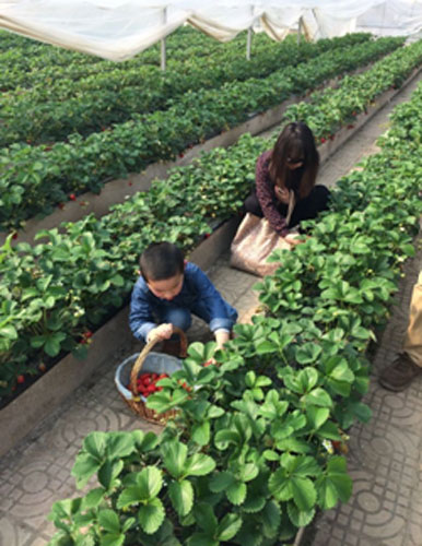 Winter Fruit-Picking Tour