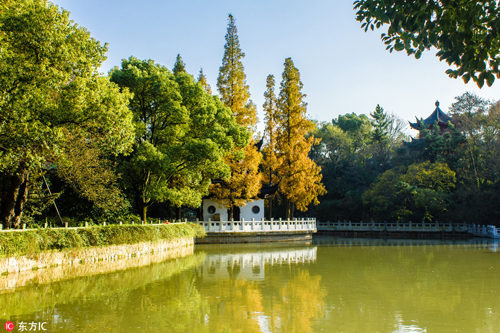 Blooming flowers grace Jiading in autumn