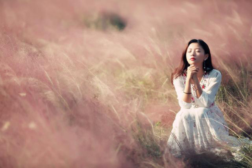 Blooming flowers grace Jiading in autumn