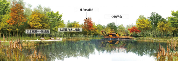 Jiading to open 26-hectare forest wetland park