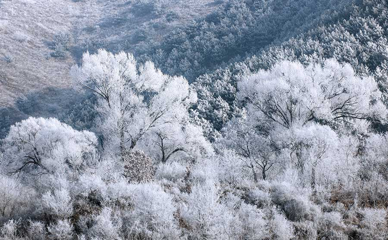 Frost scenery at Riyuexing scenic resort in Zuoquan, China's Shanxi