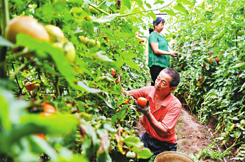 Eco restoration projects help restore Shuozhou