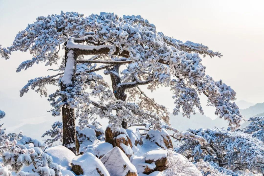 In pics: Snow on Mount Tai