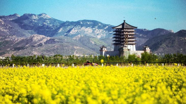 Two wetland parks in Tai'an gain national title