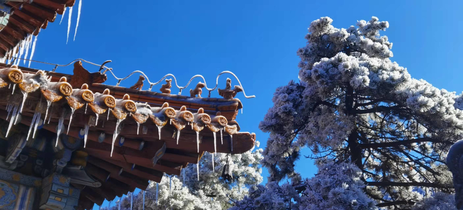 Mount Tai makes frosty spectacle after snow