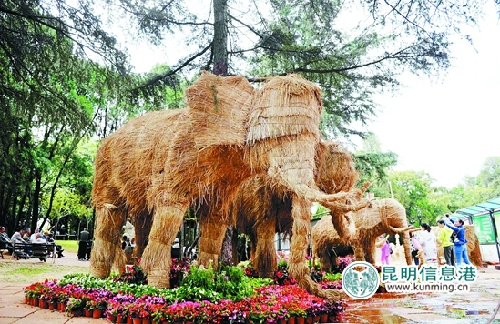 Public parks in Kunming to celebrate National Day