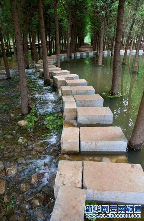 Kunming betters Dianchi Lake environment