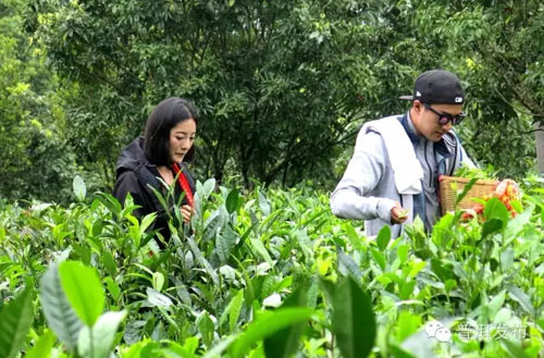 Celebrity travel reality show filmed in Pu'er