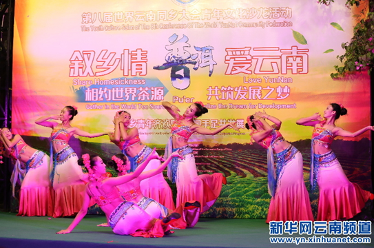 Yunnan expatriates gather in Pu'er