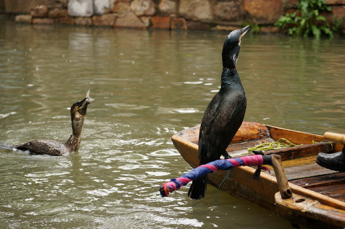 Tongli, an ancient town in Suzhou