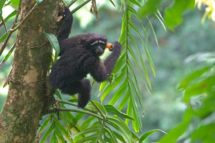 Wildlife photography pioneer blazes trail