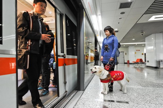 Should guide dogs be allowed on the subway?