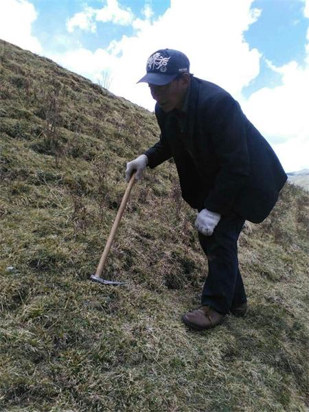 Tibetan children enjoy 'golden worm' holiday