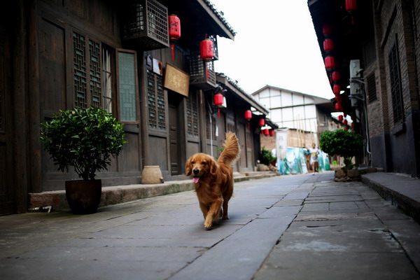 Picturesque ancient town between mountains