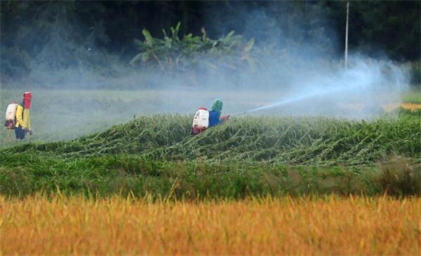 The incredible agriculture of California