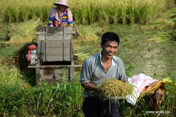 What do you think of China's efforts to end poverty?