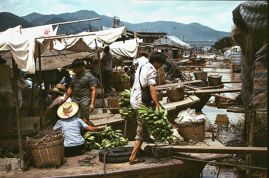 A railway that opened up southwest Guangdong